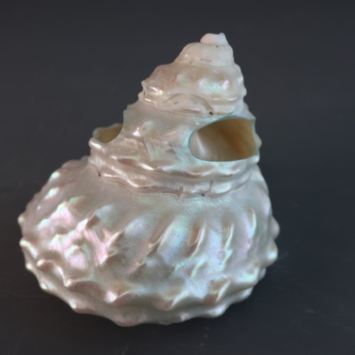 Conical pearlescent wavy - conical,
