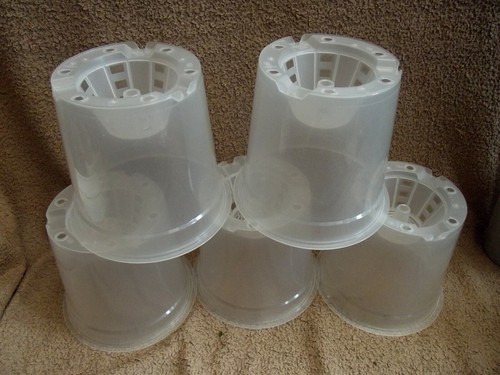 Clear orchid pot - 5, 17