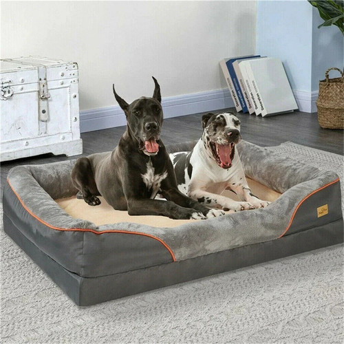 Jumbo large orthopedic dog - orthopedic,