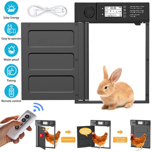 Automatic chicken door - door,