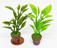 Dolls House Plants in Ceramic