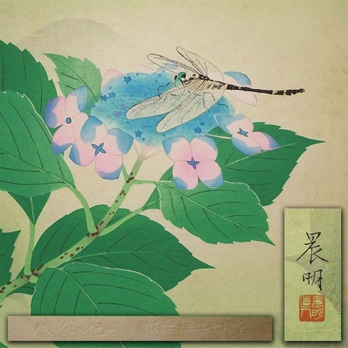 Shinmei kato japanese - shinmei,