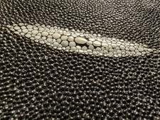 Stingray Leather Wallet