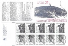 Wels Catfish Large Species of