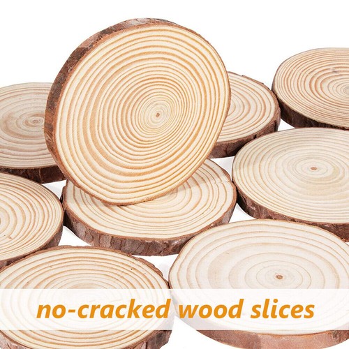Natural wood slices - 60×, 5-6