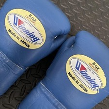 Winning Blue Lace-Up Boxing