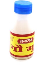 Gau mutra puja - gau,