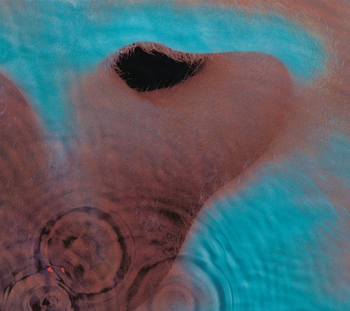 Pink floyd meddle cd - floyd,