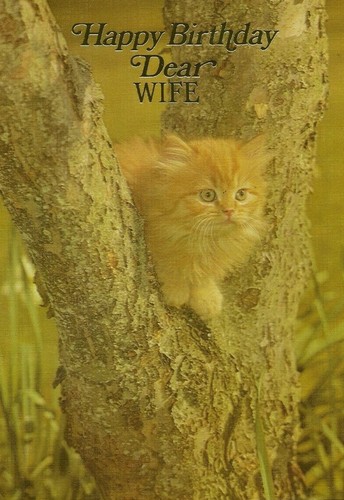 Wife happy birthday vintage - happy,