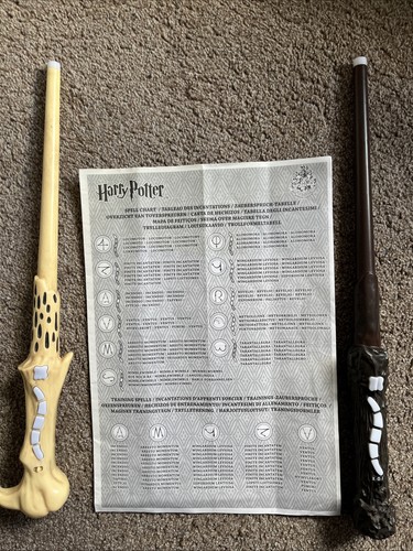 Harry potter and voldemort - harry,