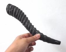 Gazelle Jewish SHOFAR Horn