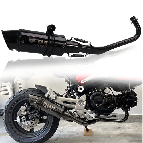 Exhaust system header - header, muffler