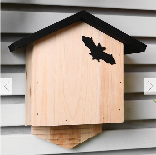 New bat box - new, conservation
