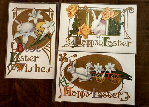 Lot white bunny rabbits - of, 3