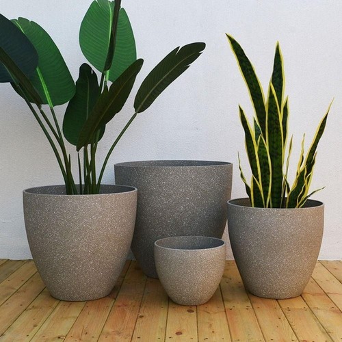 Plastic bonsai plant pot - bonsai,