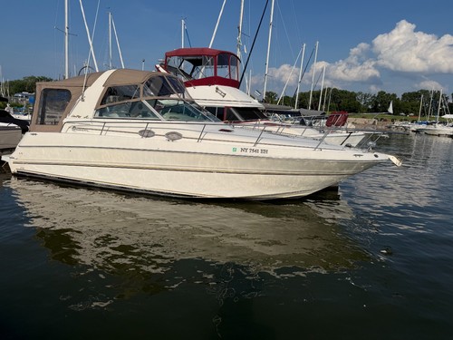 Sea ray 310 - ray,