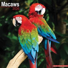 Macaws Calendar 2026 - Animal