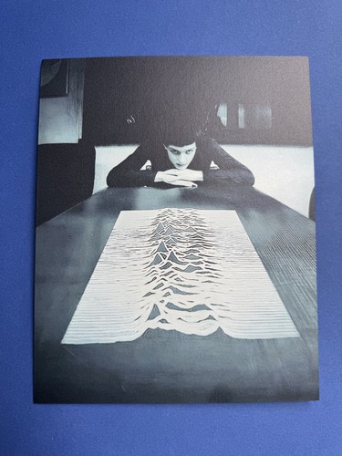 Ian curtis joy division - ian,
