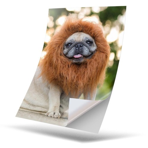 Vinyl sticker cute - sticker,