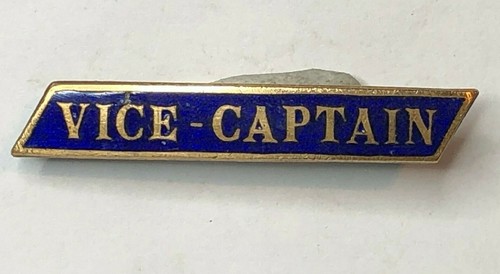 Vintage school sports vice - vintage,