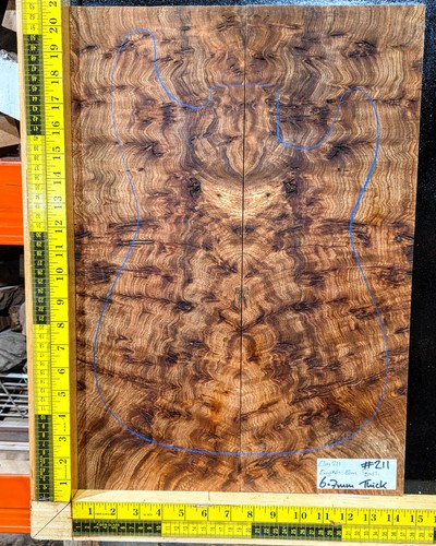 Elm burl guitar top set - elm,