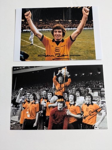 Wolverhampton wanderers wolves - wolverhampton,