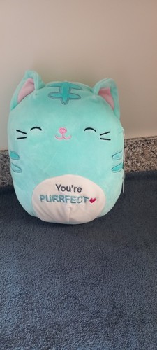 Squishmallow cat usa - cat,