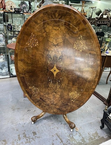Antique burr walnut - antique,