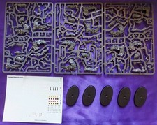 Attilan Rough Riders (5) Unit