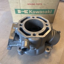 Genuine OEM Kawasaki KX100
