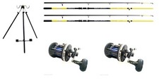 2 x 12 ft Lineaeffe Rods &