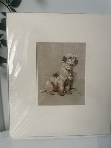 Cecil aldin border - border, terrier