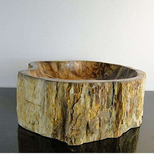 Fossilised wood - fossilised, )