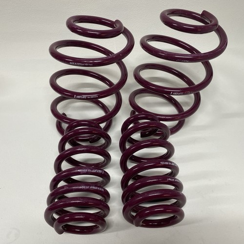 Vogtland lowering spring - vogtland,