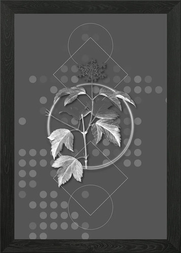 Moody modern guelder rose - moody,