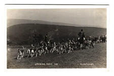 Devon & Somerset Staghounds Cloutsham Opening Meet 1909 Real Photo Postcard RPPC