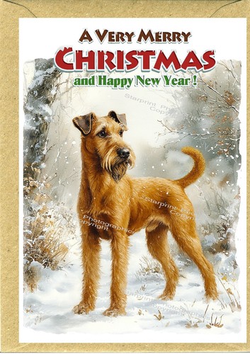 Irish terrier dog - terrier, (4"