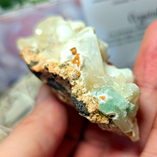 Green apophyllite geode with - apophyllite,