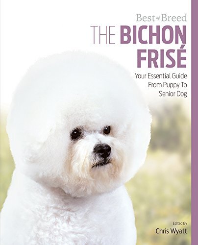 Bichon frise best breed - frise,