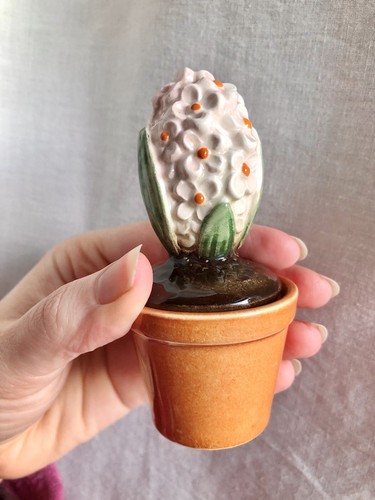 Unusual goebel hyacinth flower - unusual,