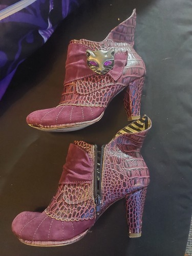 Irregular choice miaow gold - choice,
