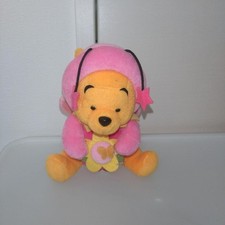 Disney Winnie The Pooh Costume