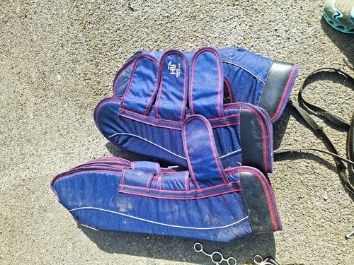 Equestrian travel horse - hy,