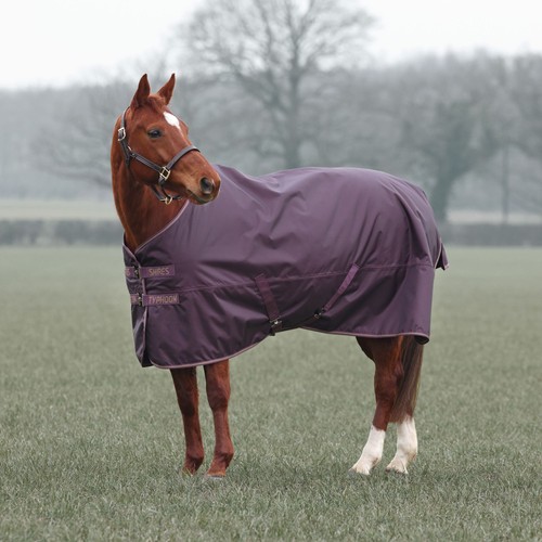 Shires typhoon 100 turnout rug - shires,