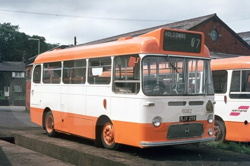 Bus photo selnec northern - selnec,