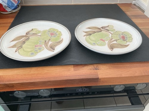 Denby troubadour dinner - 2,