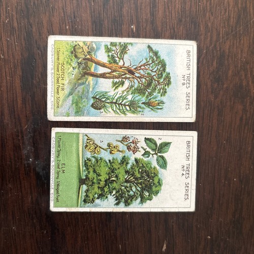 British tree series cadbury - series, by