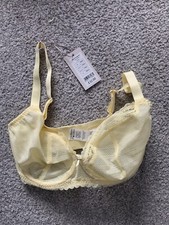 Bravissimo Becca plunge bra