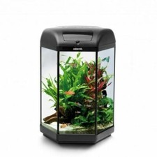 60l hexagon black fish tank - fish,