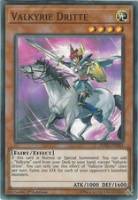 SHVA-EN001 Valkyrie Dritte |